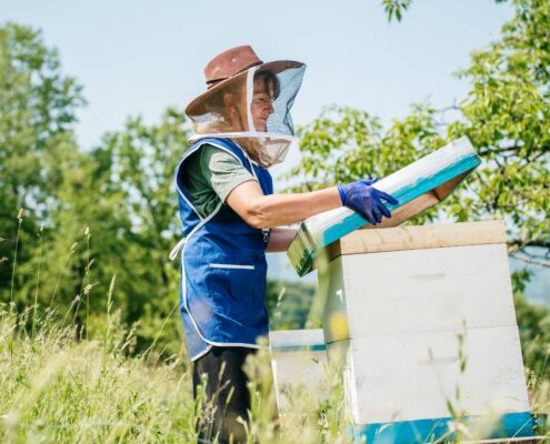Darka Radović, klijent Alter Modusa 1